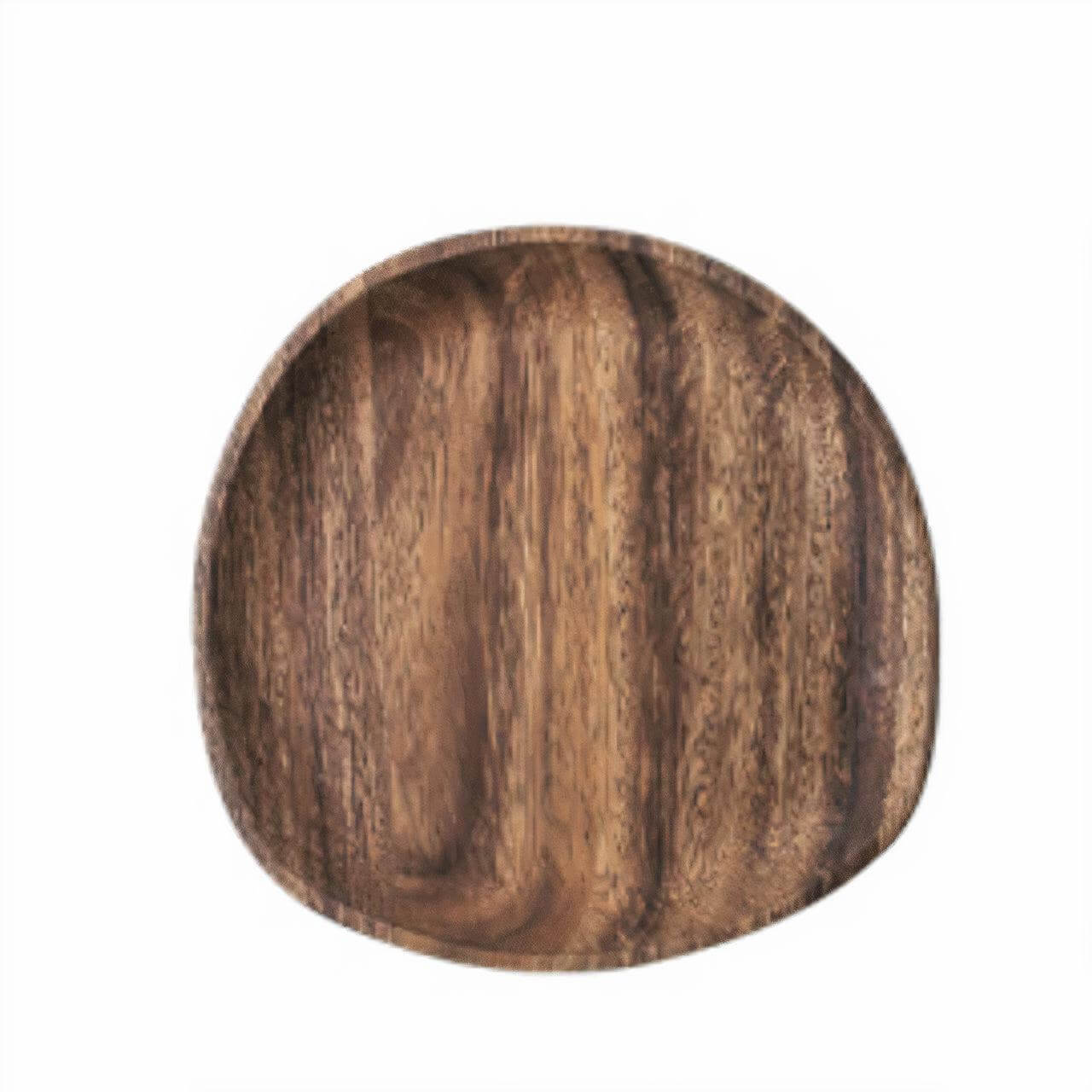ITZEL DINNER PLATE